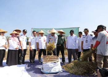PJ Wali Kota Malang