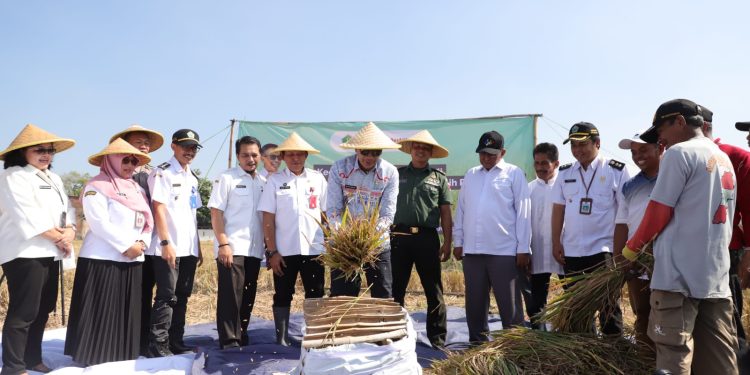 PJ Wali Kota Malang