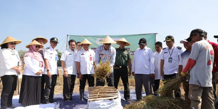 PJ Wali Kota Malang
