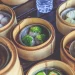 Tempat makan dimsum di Malang