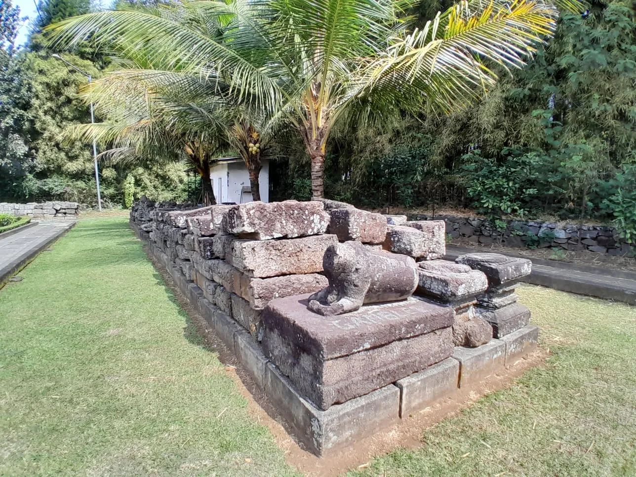 Arca nandi