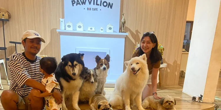 Pawvilion Dog Cafe Malang, tempat nongkrong dengan anjing di Kota Malang. Foto/Selfi