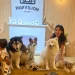 Pawvilion Dog Cafe Malang, tempat nongkrong dengan anjing di Kota Malang. Foto/Selfi