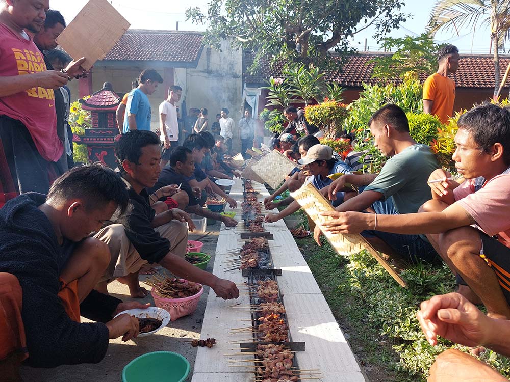 Napi lapas malang