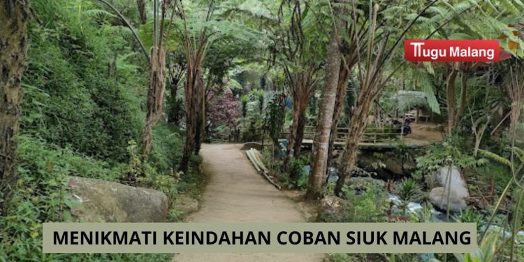 Coban Siuk di Kabupaten Malang menawarkan keindahan alam yang dapat membuat pikiran menjadi lebih fresh /Foto: Google Maps Coban Siuk