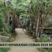 Coban Siuk di Kabupaten Malang menawarkan keindahan alam yang dapat membuat pikiran menjadi lebih fresh /Foto: Google Maps Coban Siuk