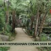 Coban Siuk di Kabupaten Malang menawarkan keindahan alam yang dapat membuat pikiran menjadi lebih fresh /Foto: Google Maps Coban Siuk