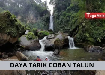 Cocok jadi destinasi wisata keluarga, daya tarik Coban Talun lengkap dengan harga tiket serta jam operasional/Foto: Google Review Coban Talun/Zee Cell.