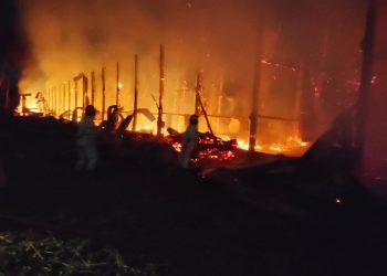 Kebakaran kendang ayam di Desa Kanigoro, Kecamatan Pagelaran belum lama ini. Foto: Damkar Kabupaten Malang
