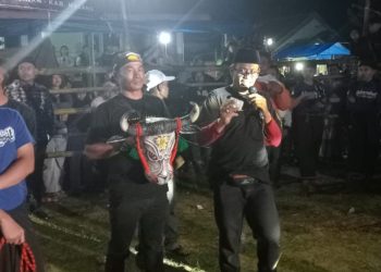Kegiatan bantengan sekaligus galang dana untuk anak yatim di Desa Tlogosari, Kecamatan Tirtoyudo. Foto: dok.