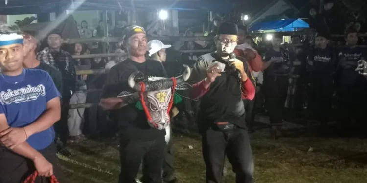 Kegiatan bantengan sekaligus galang dana untuk anak yatim di Desa Tlogosari, Kecamatan Tirtoyudo. Foto: dok.