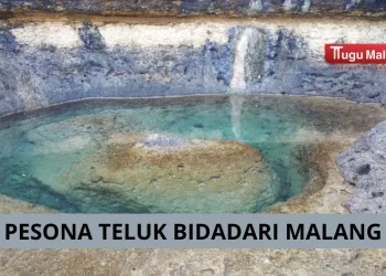 Teluk Bidadari Malang yang memiliki panorama karang eksotis dan air jernih bak surga tersembunyi. /Foto: Google Review Teluk Bidadari Malang/Teguh Wibisana.