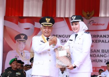 kepala desa
