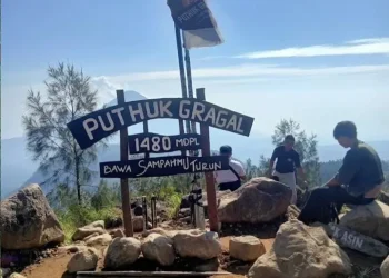 Pendaki