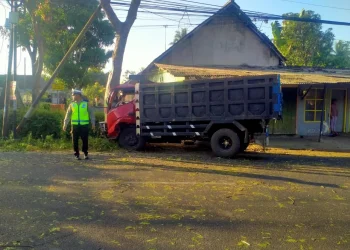 Truk tabrak pohon di Malang