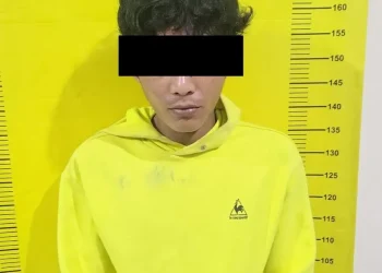 Mencuri mesin potong kayu