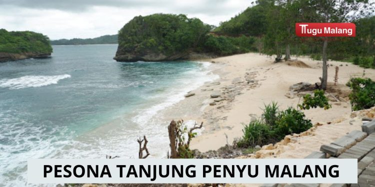 Pesona Pantai Tanjung Penyu Malang
