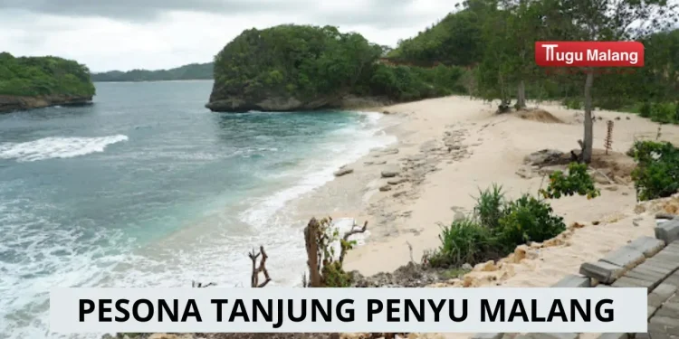 Pesona Pantai Tanjung Penyu Malang
