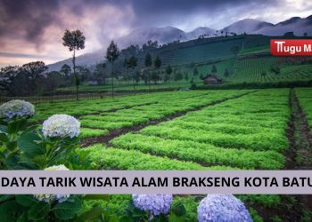 Wisata alam