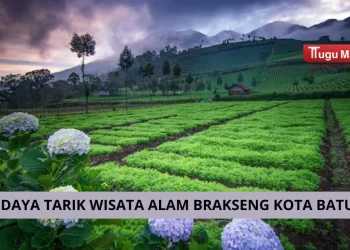 Wisata alam