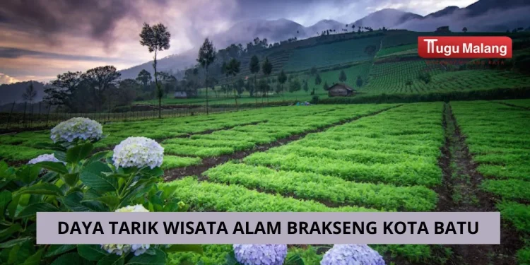 Wisata alam