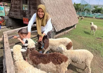 Wisata anak