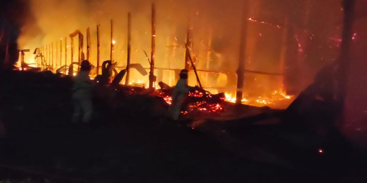 Kebakaran kandang ayam