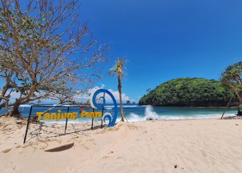 Pantai Tanjung Penyu