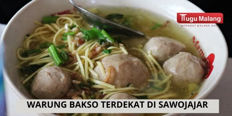 Rekomendasi warung bakso terdekat di Sawojajar yang dapat menjadi referensi berburu kuliner bakso/Foto: Pixabay.com/Mufidpwt.