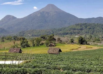 Mendaki gunung bagi pemula
