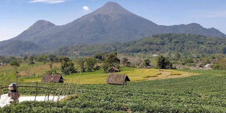 Mendaki gunung bagi pemula