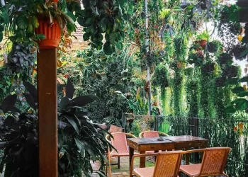 Kafe di Gondanglegi yang cocok untuk mengerjakan tugas bagi mahasiswa. Foto: Gmaps