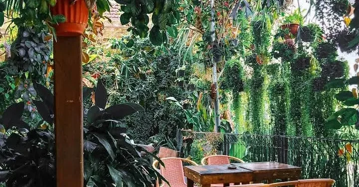 Kafe di Gondanglegi yang cocok untuk mengerjakan tugas bagi mahasiswa. Foto: Gmaps