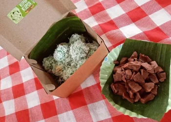 Mencicipi kue klepon ala Klepan Klepon di Pasar Klojen Malang tawarkan sensasi nostalgia jajanan tradisional yang dijamin fresh. /Foto: dok. Klepan Klepon for Tugumalang.id