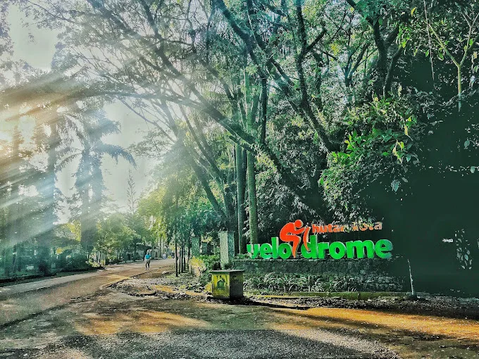 Taman Velodrome Malang/Foto: Google Review/Dindin Bordir.