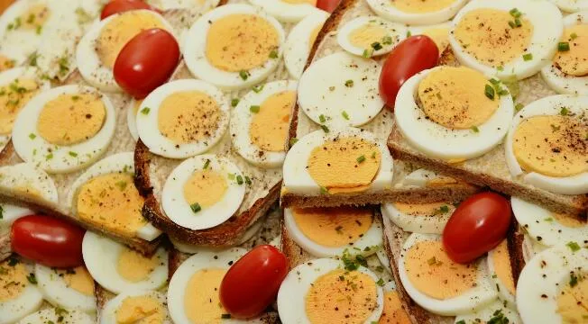 Telur. Foto/Pixabay