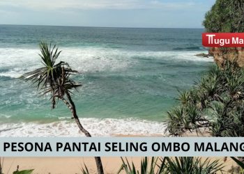 Pesona Pantai Seling ombo