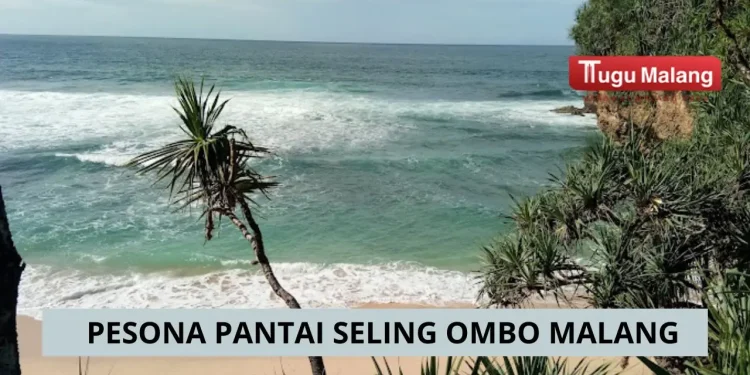 Pesona Pantai Seling ombo