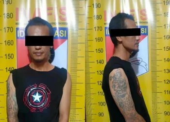 pengedar abu