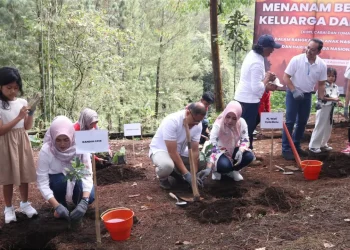 Pj Wali Kota Batu Kembali Tanam Kopi di Kawasan Agroforestry Lereng Gunung Arjuno