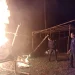 sabung ayam