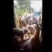 Sapi mati mendadak