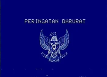 warganet