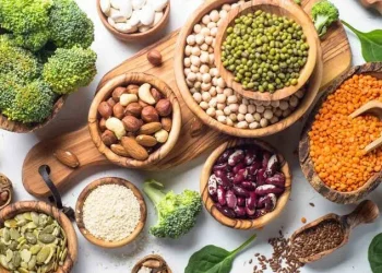 Protein Nabati