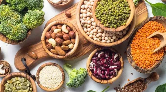 Protein Nabati