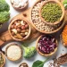 Protein Nabati