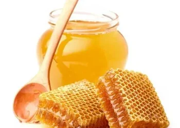 Ilustrasi makanan tidak boleh dicampur dengan madu. Foto/Pinterest