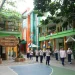 Potret suasana MIN 1 Kota Malang terkini. Madrasah ini terus mengalami perkembangan dari masa ke masa. Foto: Azmy