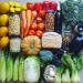 penyimpanan bahan makanan dengan benar bisa memperpanjang masa simpan menjaga kualitas, dan menghemat pengeluaran. Foto: pinterest Lindsay