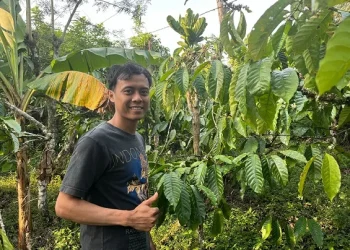 Ahmad Saiful seorang petani kopi dalam mengembangkan potensi kopi lokal di Desa Sumbertangkil, Kecamatan Tirtoyudo, Kabupaten Malang. Foto/Lutfa Putri Valentina